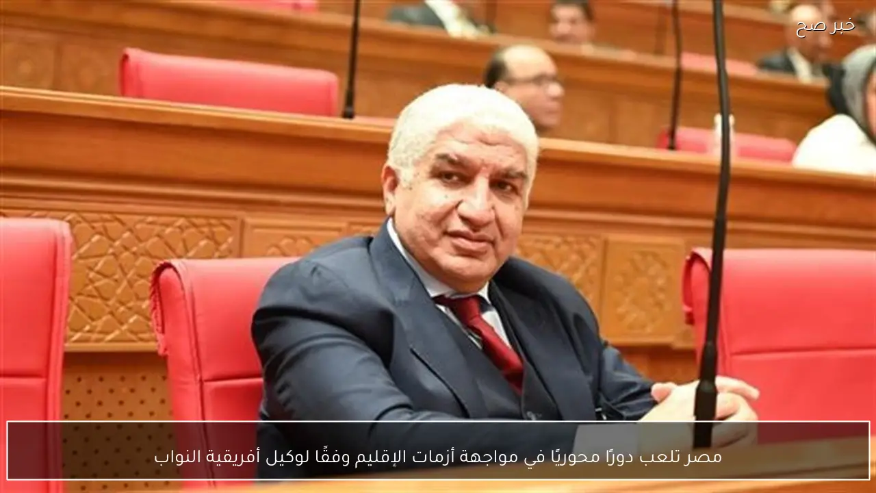 مصر تلعب دورًا محوريًا في مواجهة أزمات الإقليم وفقًا لوكيل أفريقية النواب