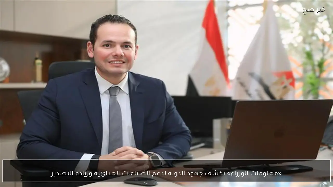 «معلومات الوزراء» تكشف جهود الدولة لدعم الصناعات الغذائية وزيادة التصدير