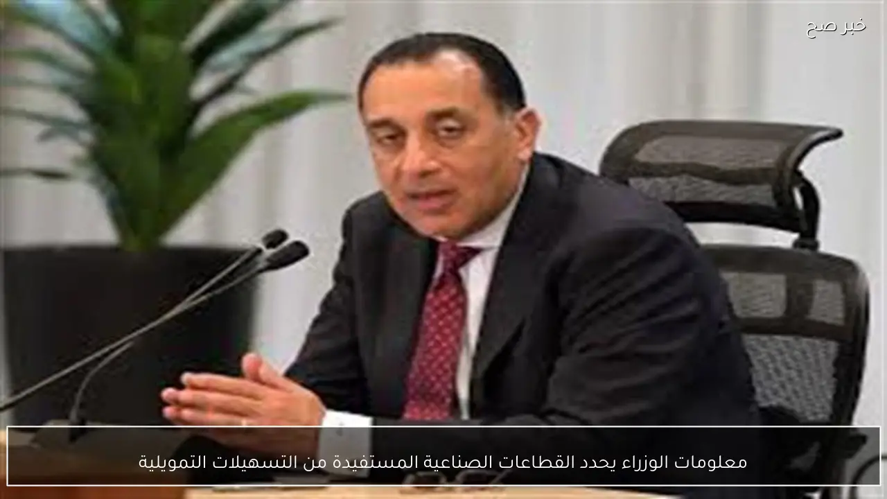 معلومات الوزراء يحدد القطاعات الصناعية المستفيدة من التسهيلات التمويلية