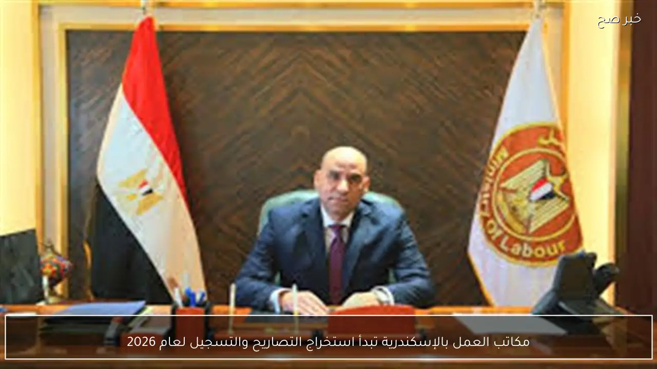 مكاتب العمل بالإسكندرية تبدأ استخراج التصاريح والتسجيل لعام 2026