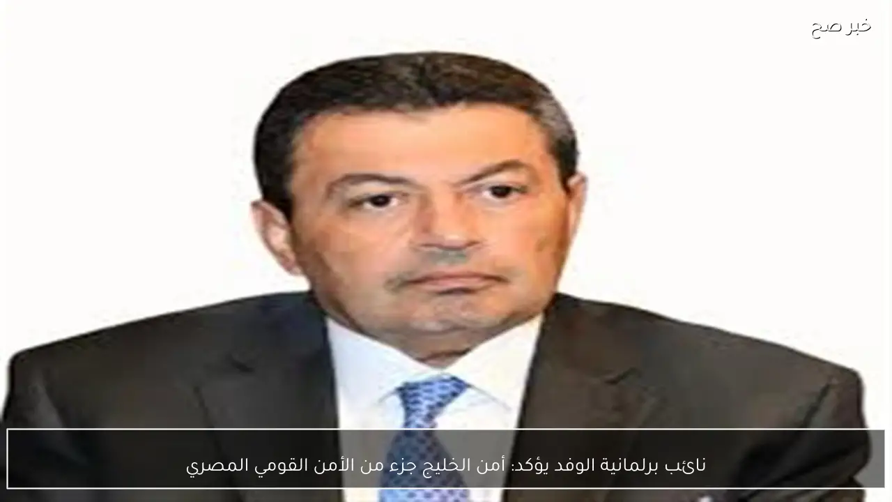 نائب برلمانية الوفد يؤكد: أمن الخليج جزء من الأمن القومي المصري