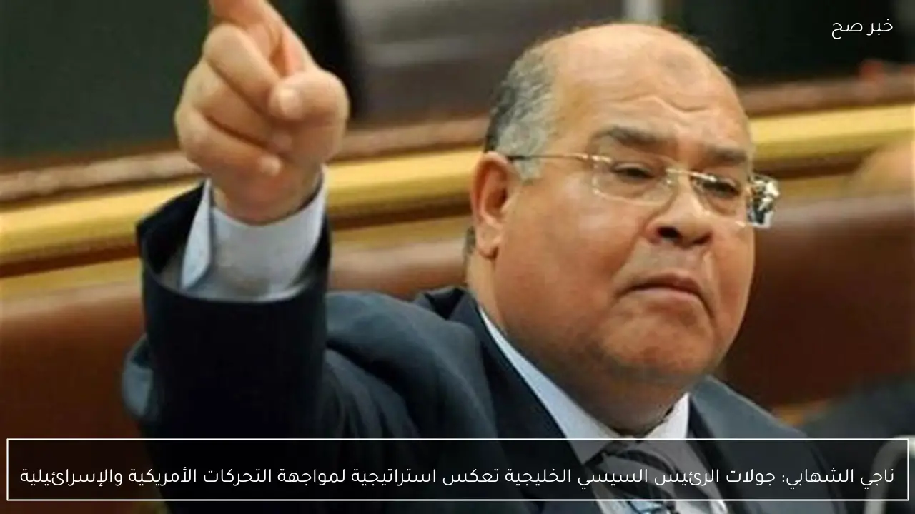 ناجي الشهابي: جولات الرئيس السيسي الخليجية تعكس استراتيجية لمواجهة التحركات الأمريكية والإسرائيلية