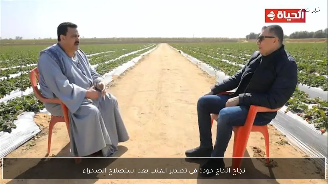 نجاح الحاج حودة في تصدير العنب بعد استصلاح الصحراء