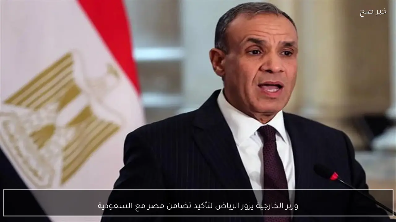 وزير الخارجية يزور الرياض لتأكيد تضامن مصر مع السعودية