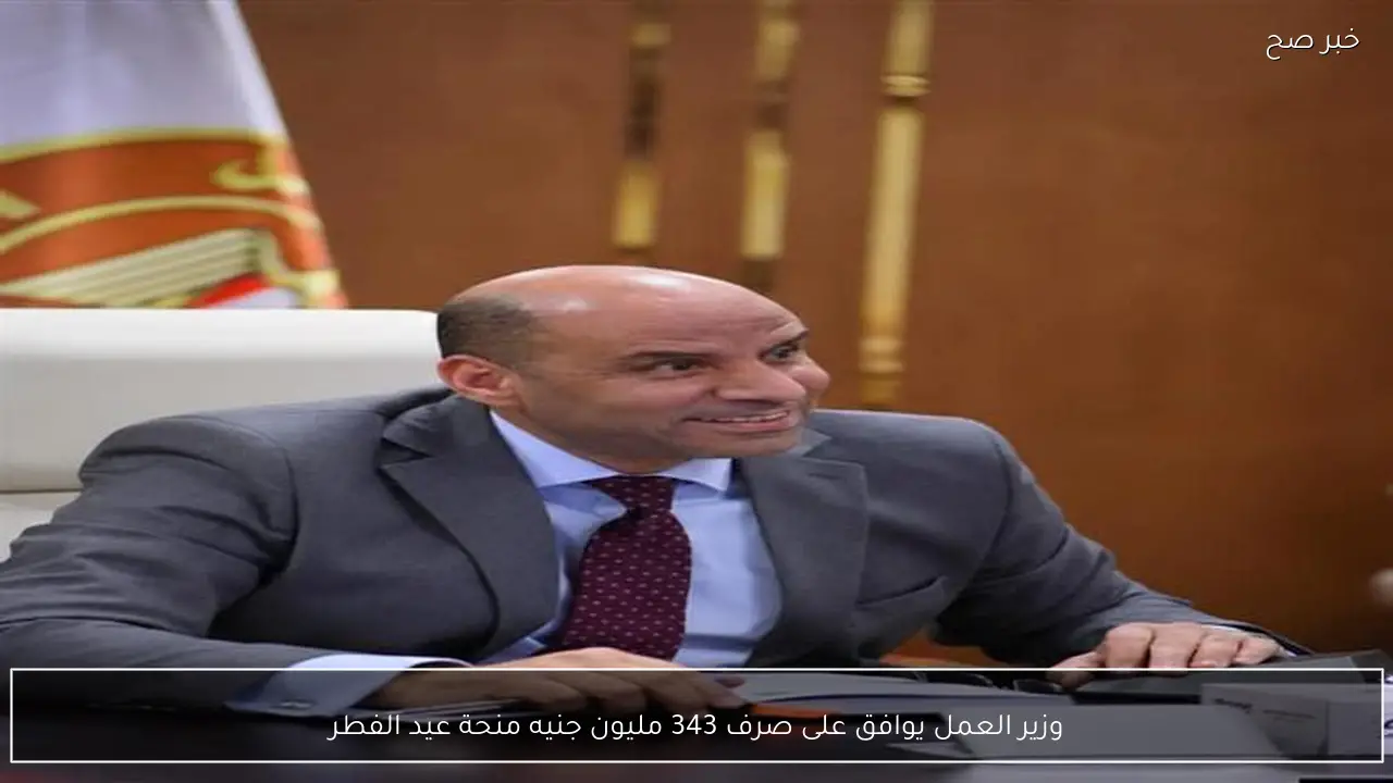 وزير العمل يوافق على صرف 343 مليون جنيه منحة عيد الفطر