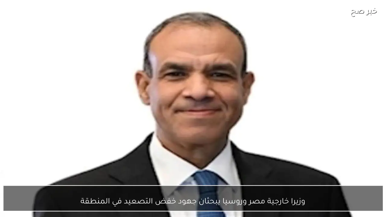 وزيرا خارجية مصر وروسيا يبحثان جهود خفض التصعيد في المنطقة