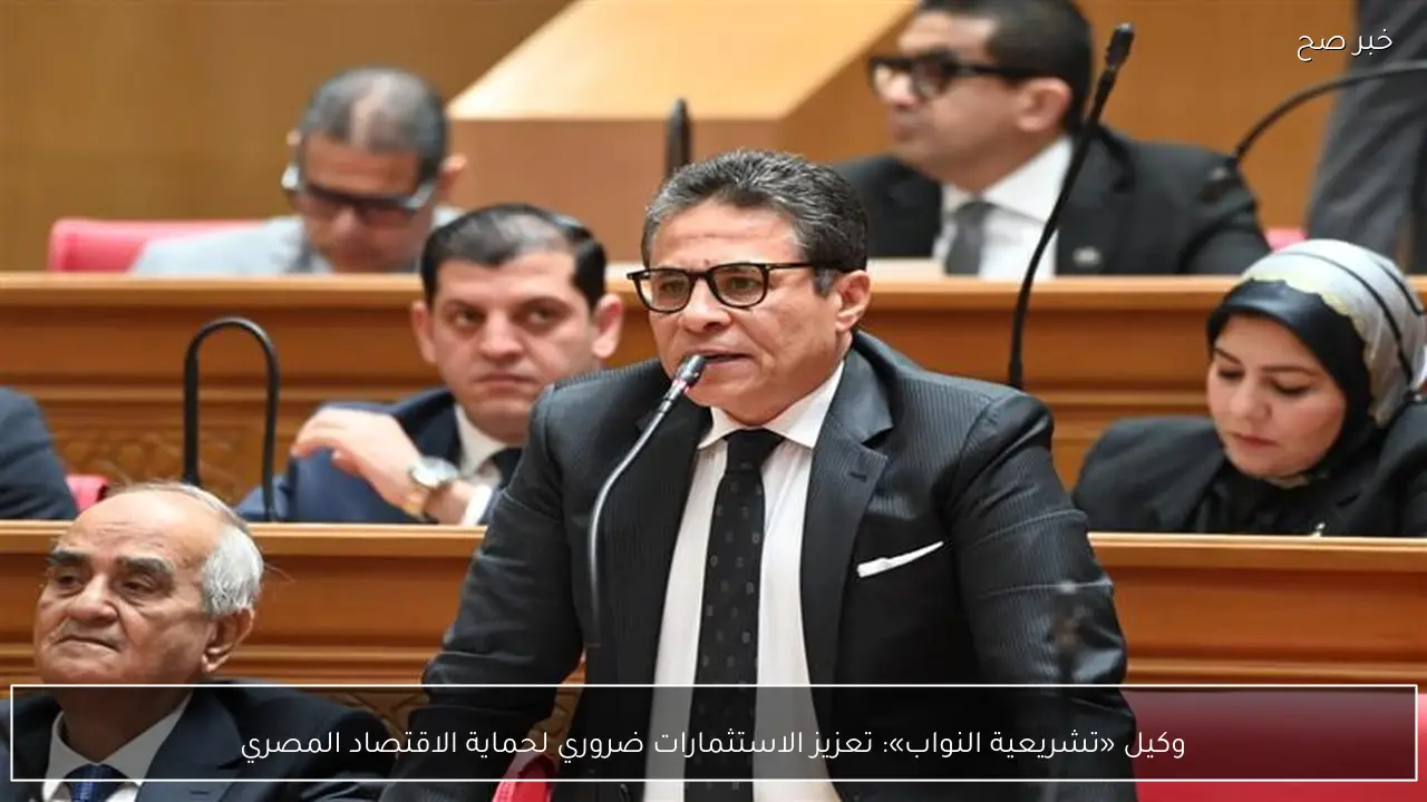 وكيل «تشريعية النواب»: تعزيز الاستثمارات ضروري لحماية الاقتصاد المصري