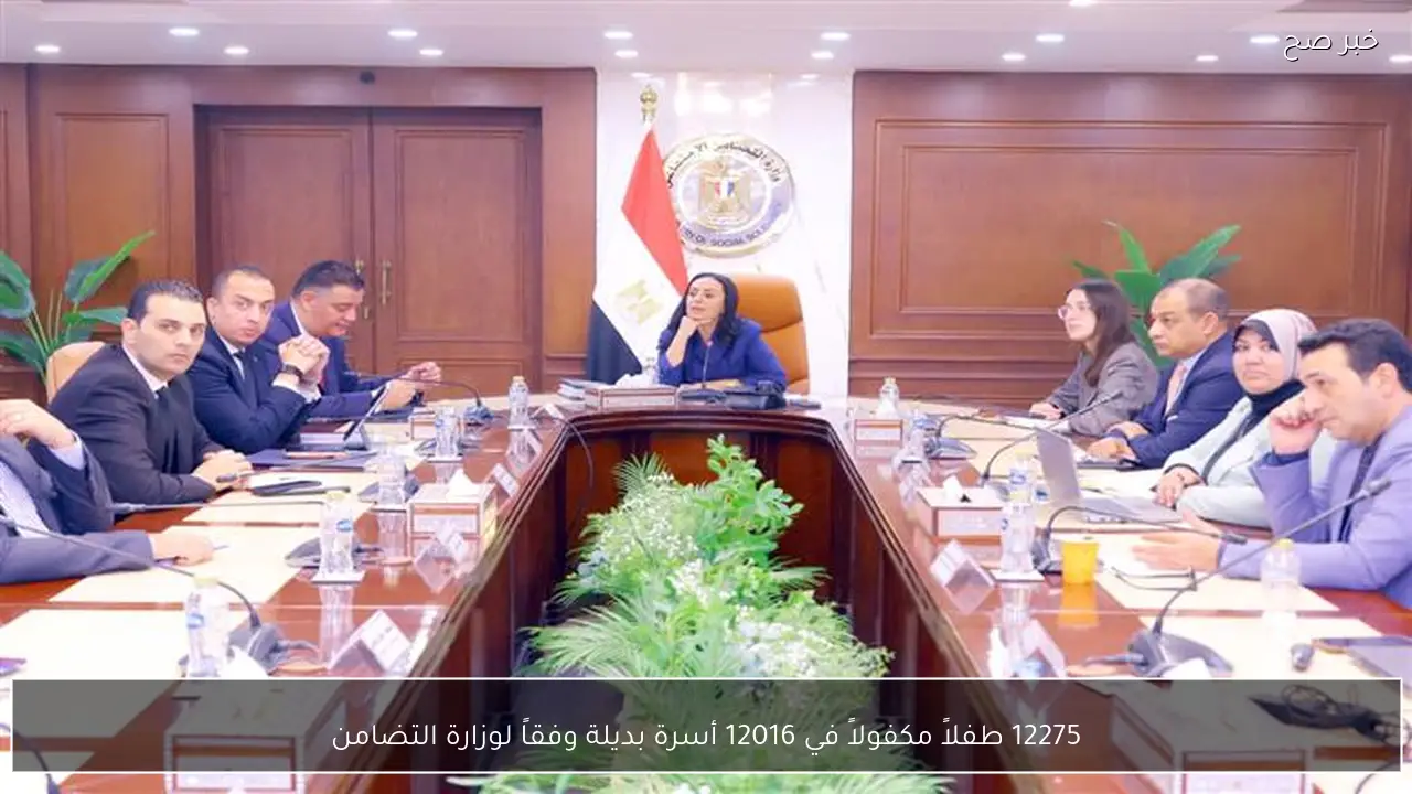12275 طفلاً مكفولاً في 12016 أسرة بديلة وفقاً لوزارة التضامن
