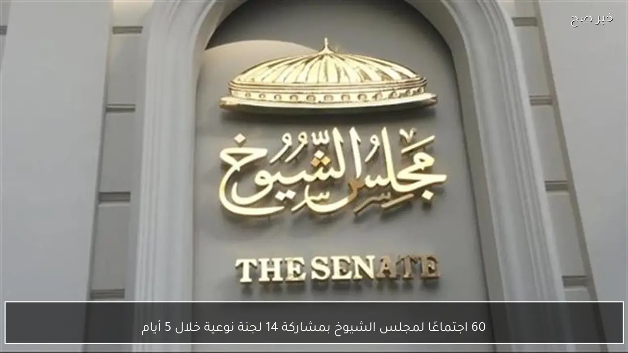 60 اجتماعًا لمجلس الشيوخ بمشاركة 14 لجنة نوعية خلال 5 أيام