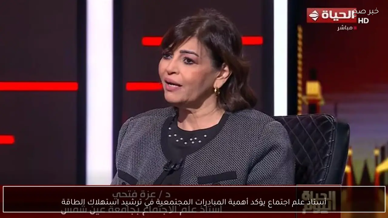 أستاذ علم اجتماع يؤكد أهمية المبادرات المجتمعية في ترشيد استهلاك الطاقة