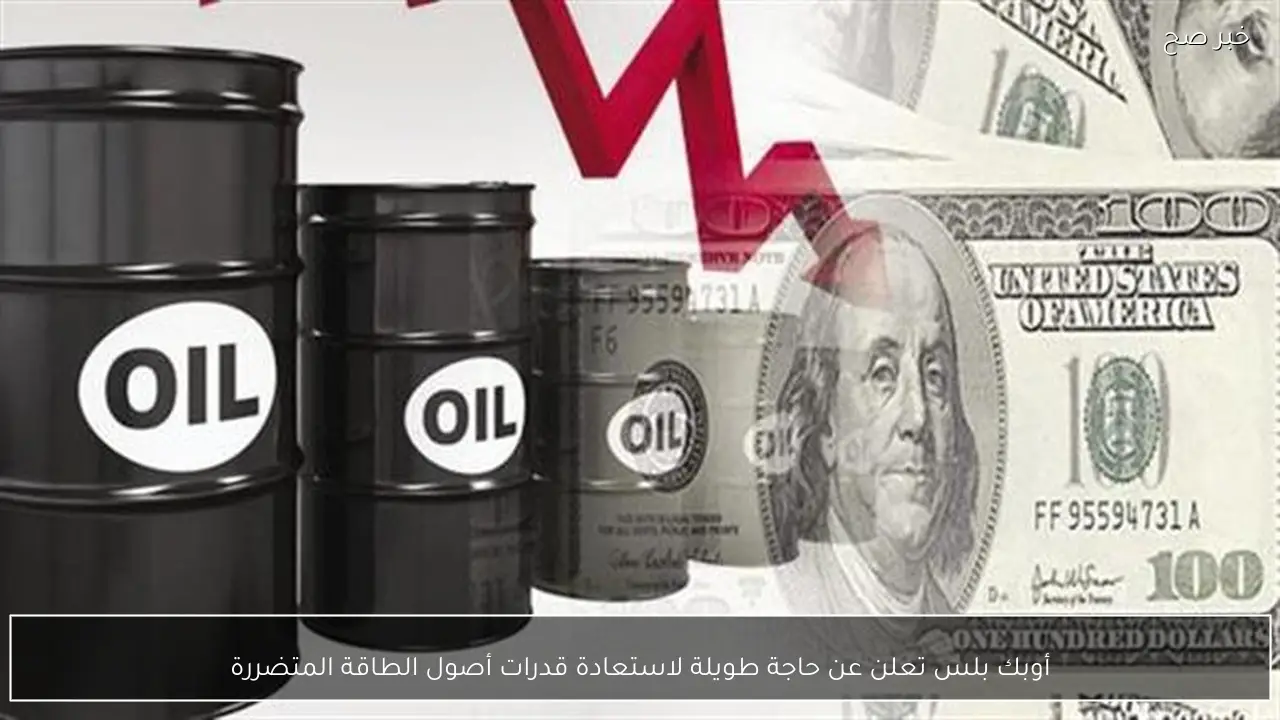 أوبك بلس تعلن عن حاجة طويلة لاستعادة قدرات أصول الطاقة المتضررة