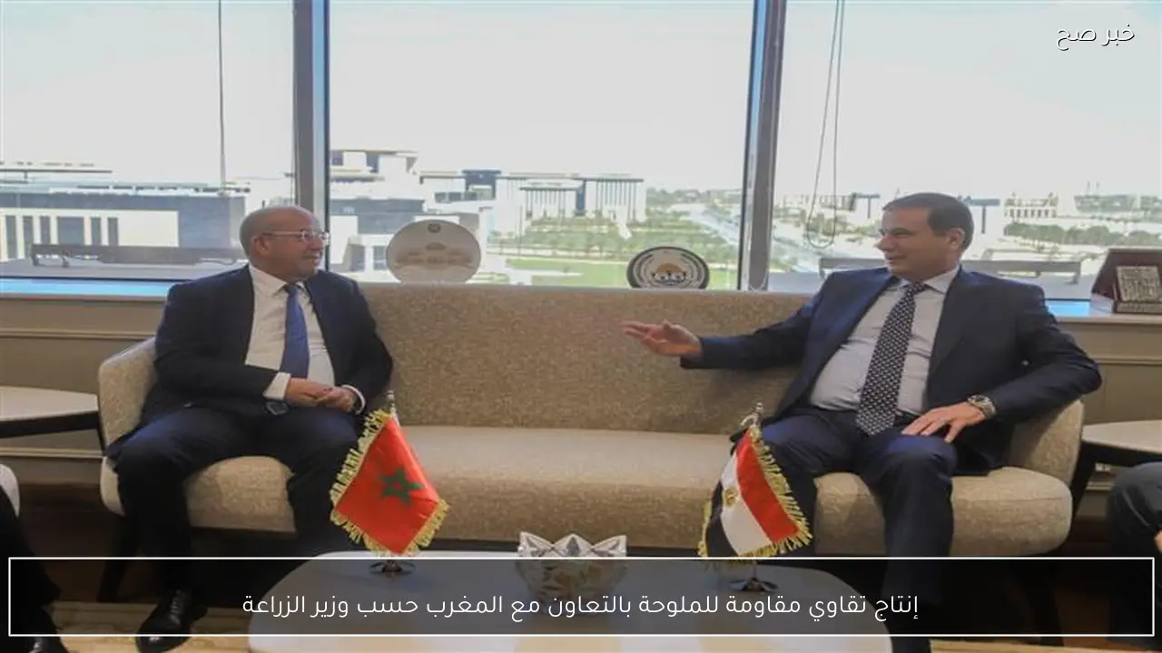 إنتاج تقاوي مقاومة للملوحة بالتعاون مع المغرب حسب وزير الزراعة