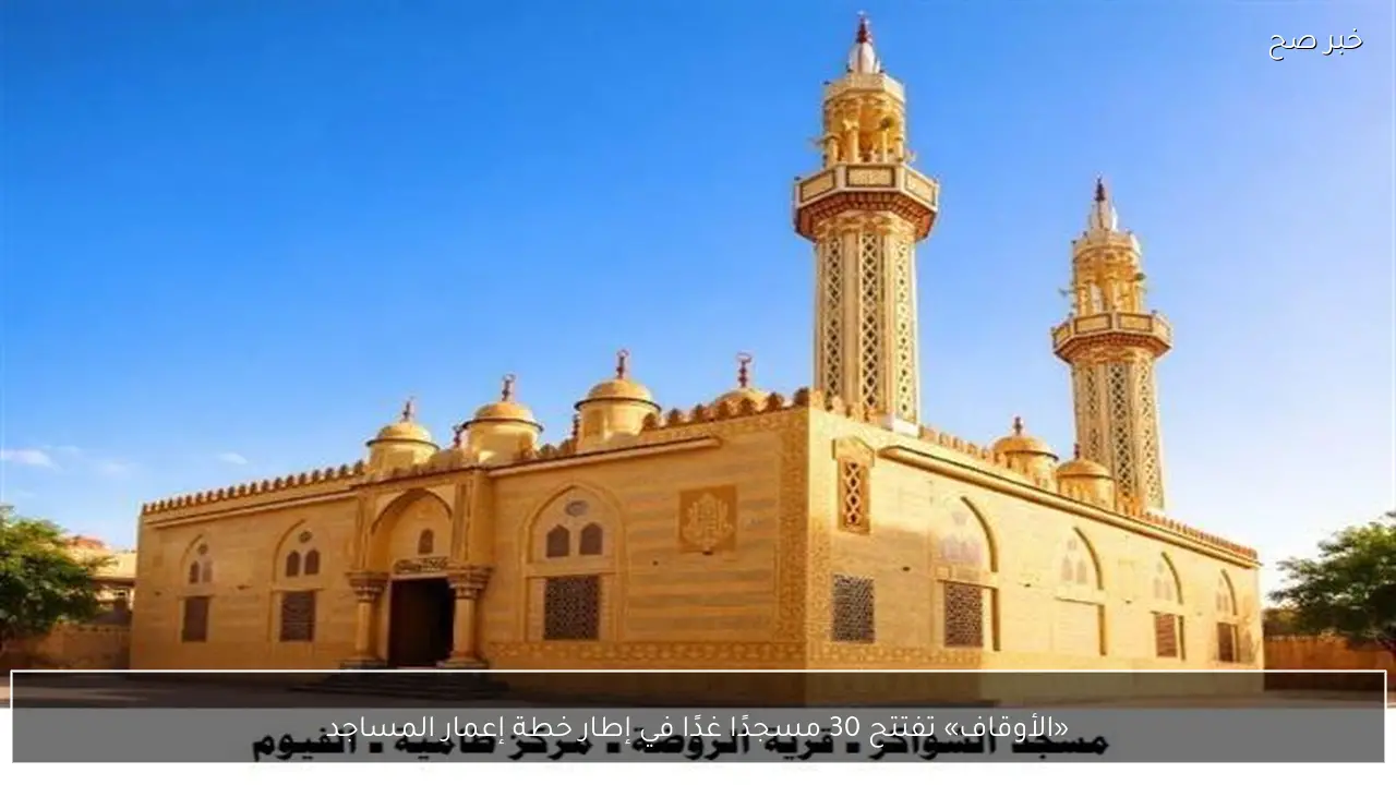 «الأوقاف» تفتتح 30 مسجدًا غدًا في إطار خطة إعمار المساجد