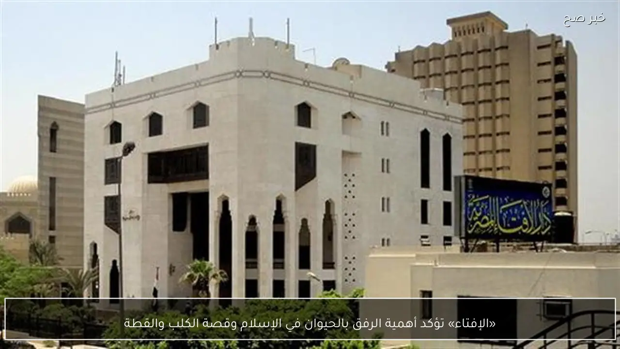 «الإفتاء» تؤكد أهمية الرفق بالحيوان في الإسلام وقصة الكلب والقطة