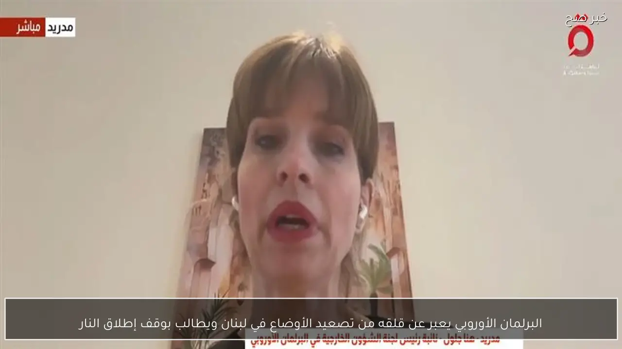 البرلمان الأوروبي يعبر عن قلقه من تصعيد الأوضاع في لبنان ويطالب بوقف إطلاق النار