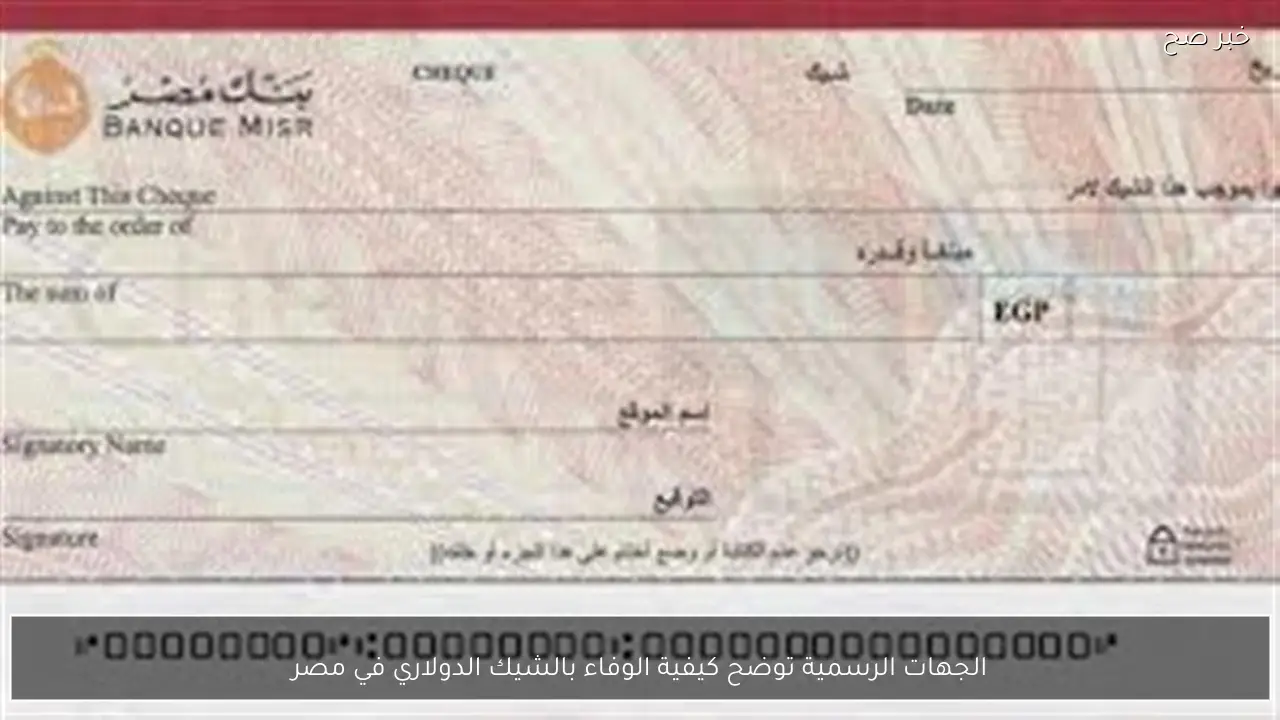 الجهات الرسمية توضح كيفية الوفاء بالشيك الدولاري في مصر