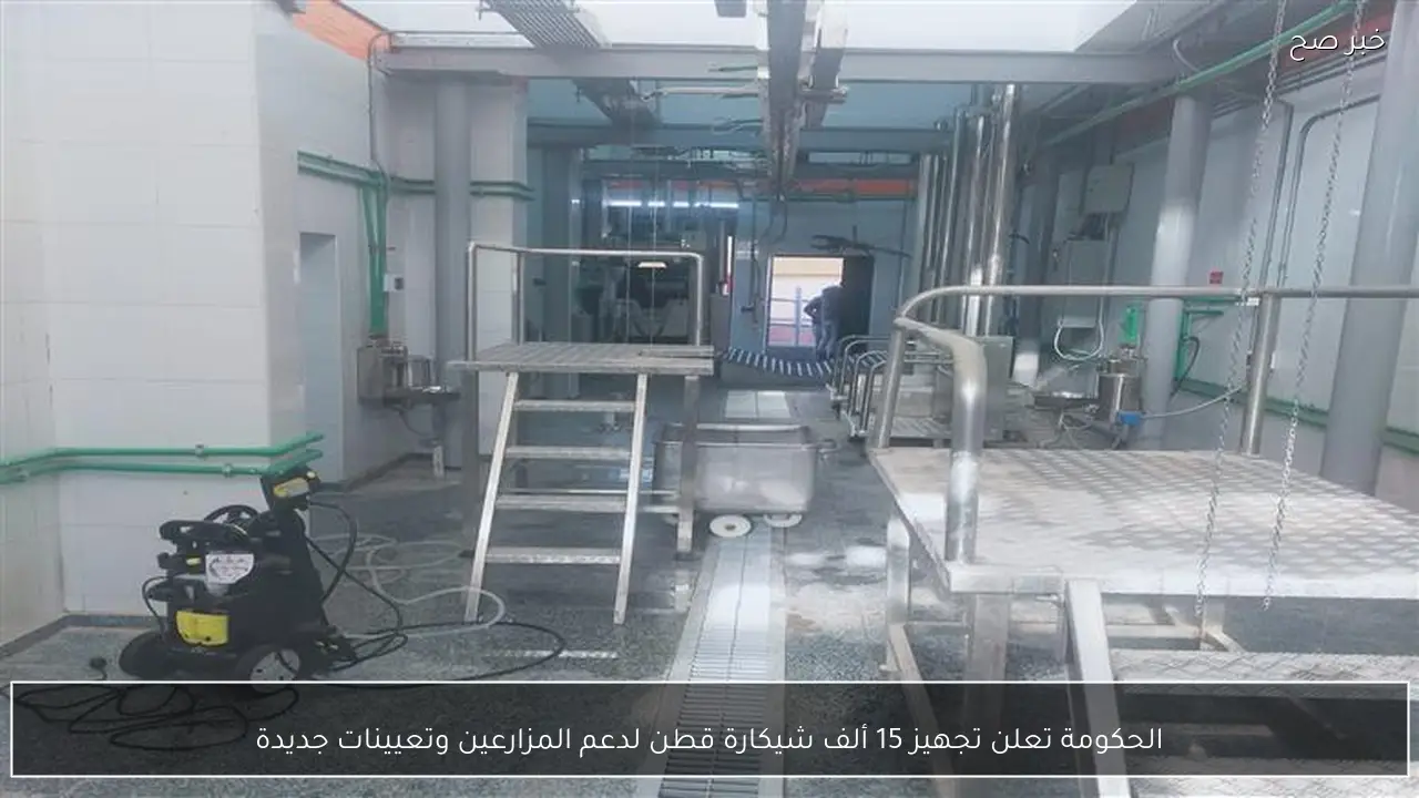 الحكومة تعلن تجهيز 15 ألف شيكارة قطن لدعم المزارعين وتعيينات جديدة