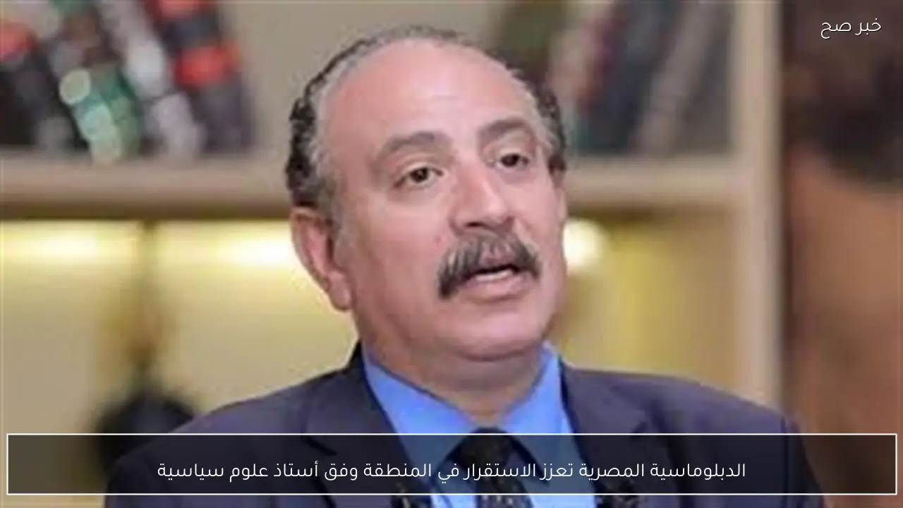 الدبلوماسية المصرية تعزز الاستقرار في المنطقة وفق أستاذ علوم سياسية