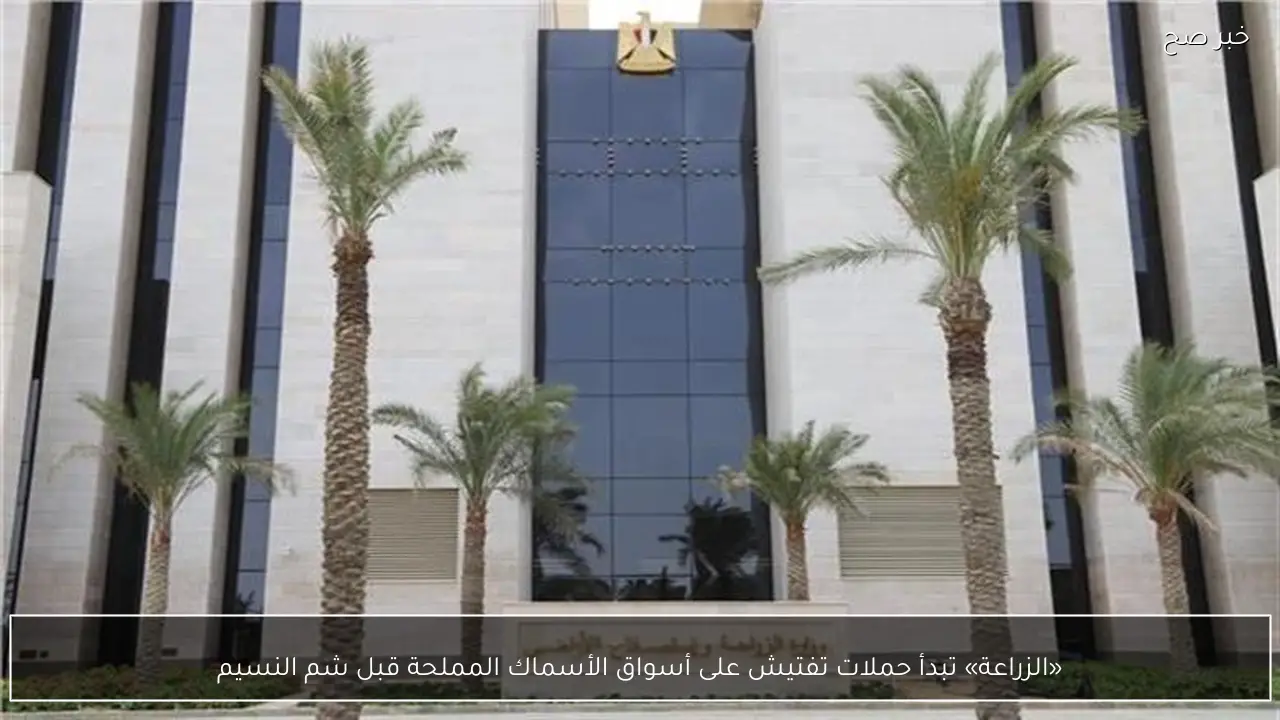 «الزراعة» تبدأ حملات تفتيش على أسواق الأسماك المملحة قبل شم النسيم