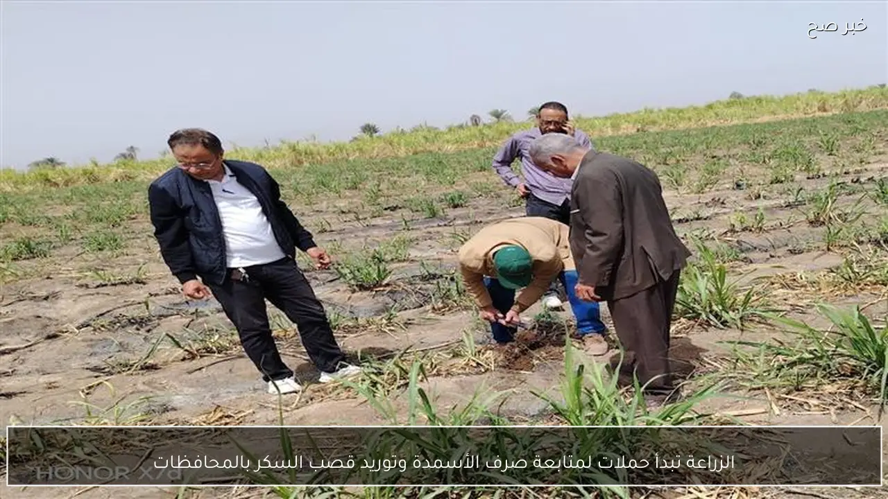 الزراعة تبدأ حملات لمتابعة صرف الأسمدة وتوريد قصب السكر بالمحافظات