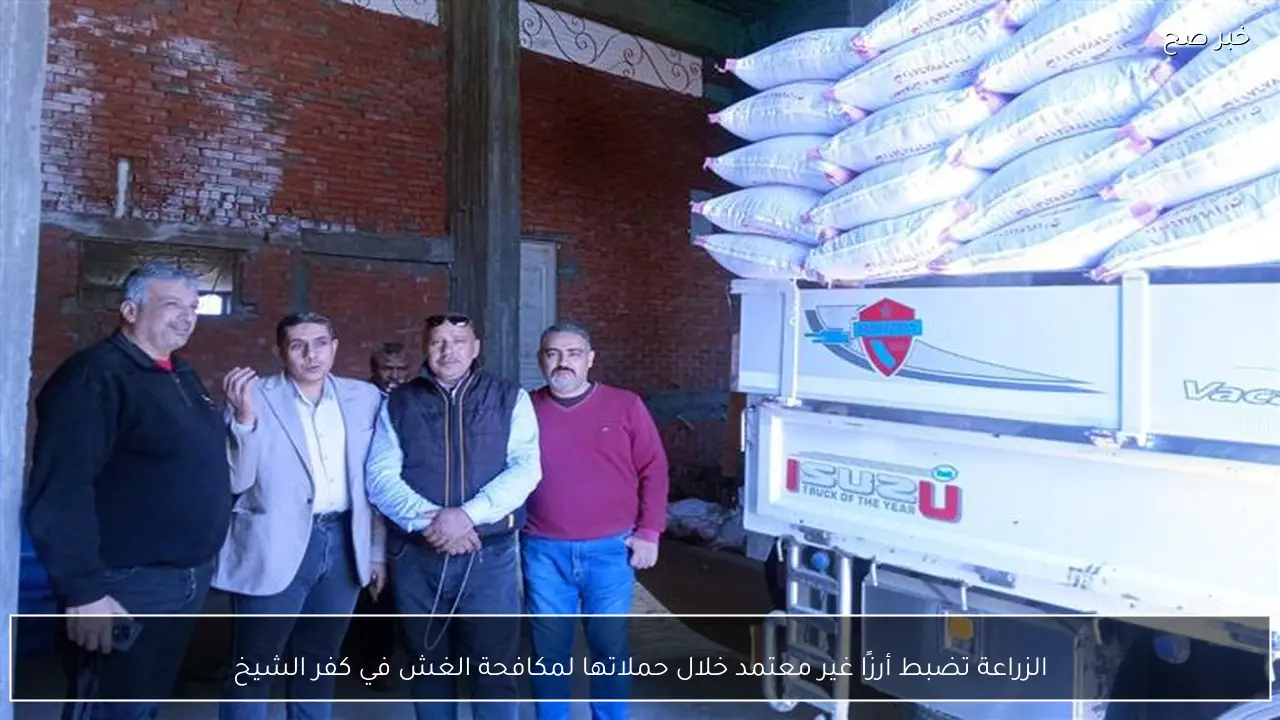 الزراعة تضبط أرزًا غير معتمد خلال حملاتها لمكافحة الغش في كفر الشيخ