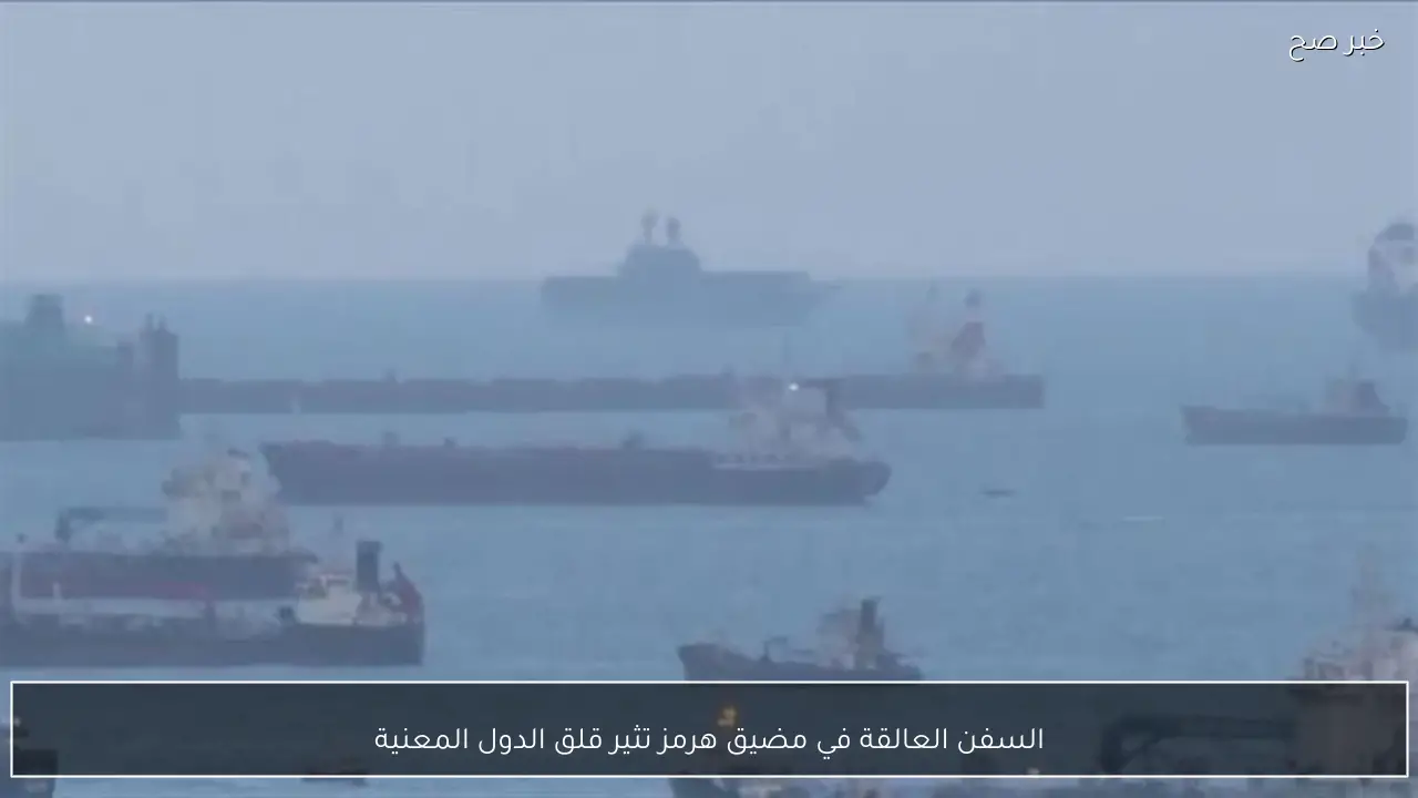 السفن العالقة في مضيق هرمز تثير قلق الدول المعنية
