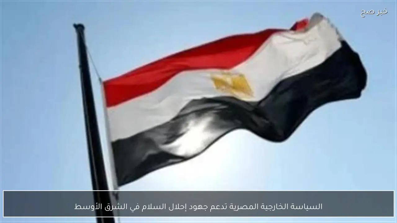 السياسة الخارجية المصرية تدعم جهود إحلال السلام في الشرق الأوسط