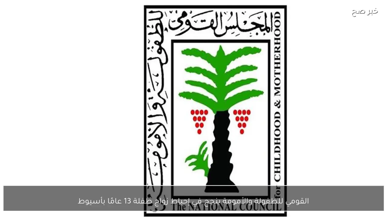 القومي للطفولة والأمومة ينجح في إحباط زواج طفلة 13 عامًا بأسيوط