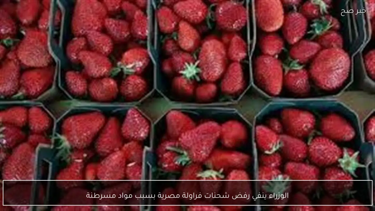 الوزراء ينفي رفض شحنات فراولة مصرية بسبب مواد مسرطنة
