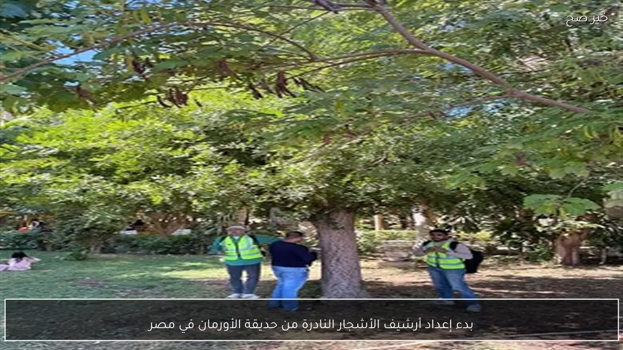 بدء إعداد أرشيف الأشجار النادرة من حديقة الأورمان في مصر