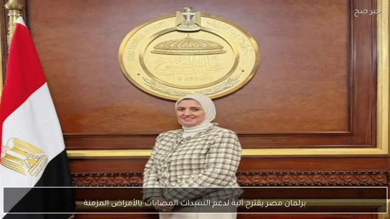 برلمان مصر يقترح آلية لدعم السيدات المصابات بالأمراض المزمنة