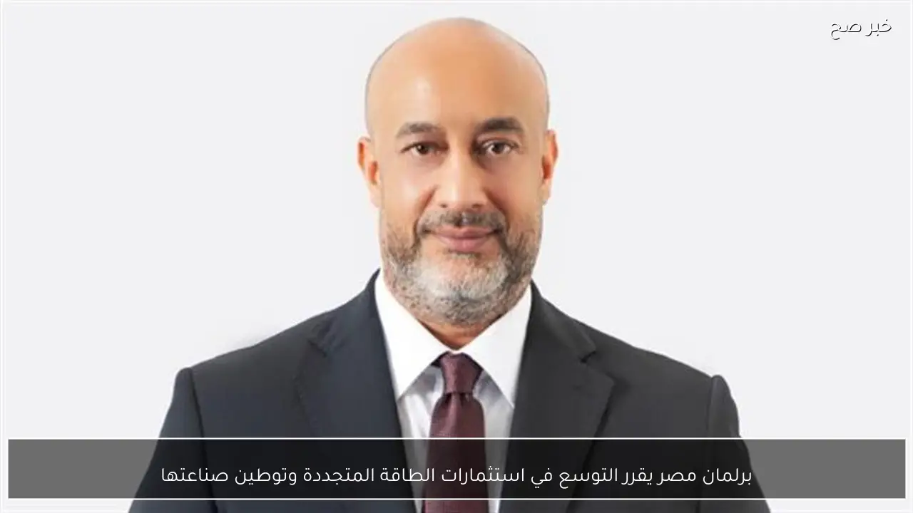 برلمان مصر يقرر التوسع في استثمارات الطاقة المتجددة وتوطين صناعتها