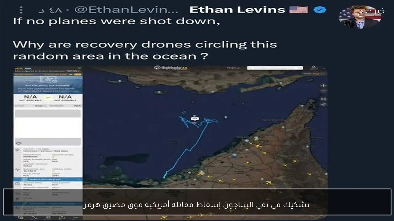 تشكيك في نفي البنتاجون إسقاط مقاتلة أمريكية فوق مضيق هرمز