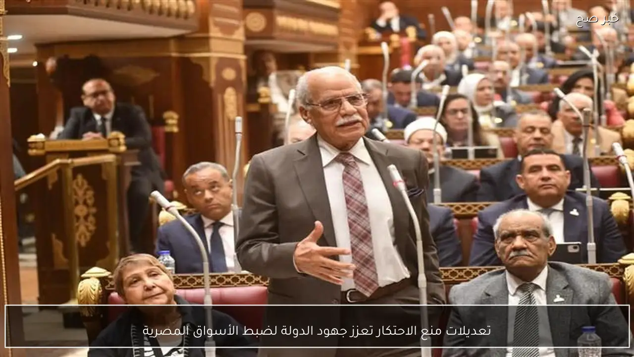 تعديلات منع الاحتكار تعزز جهود الدولة لضبط الأسواق المصرية