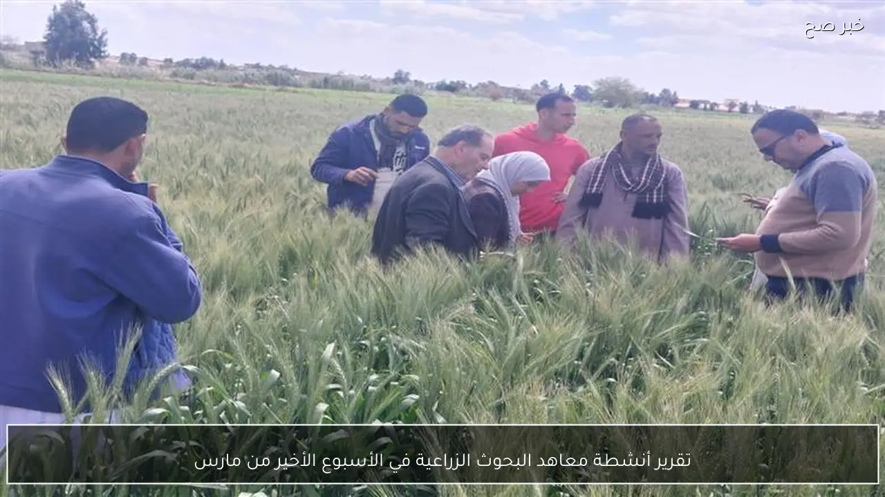 تقرير أنشطة معاهد البحوث الزراعية في الأسبوع الأخير من مارس