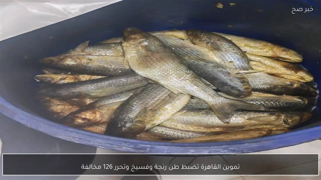 تموين القاهرة تضبط طن رنجة وفسيخ وتحرر 126 مخالفة