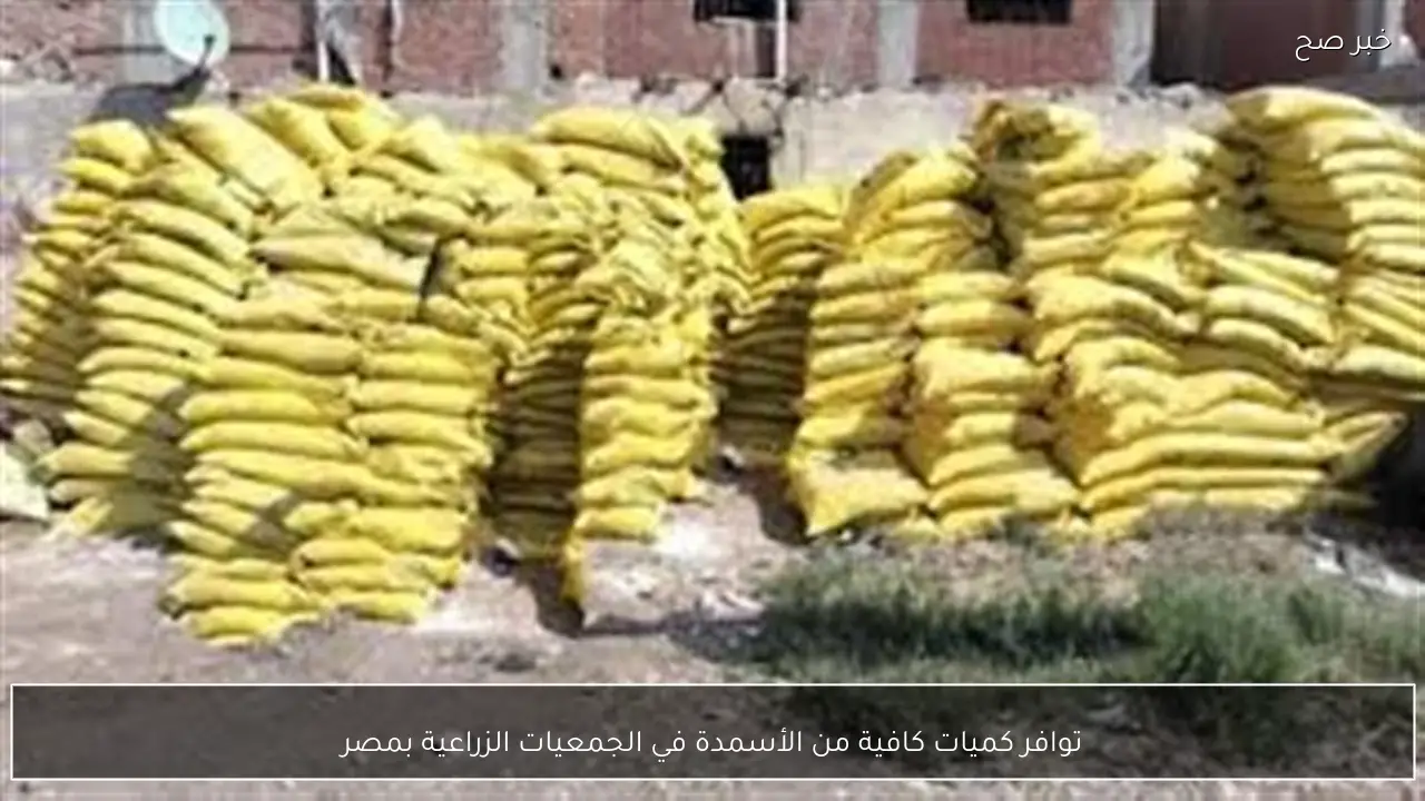 توافر كميات كافية من الأسمدة في الجمعيات الزراعية بمصر