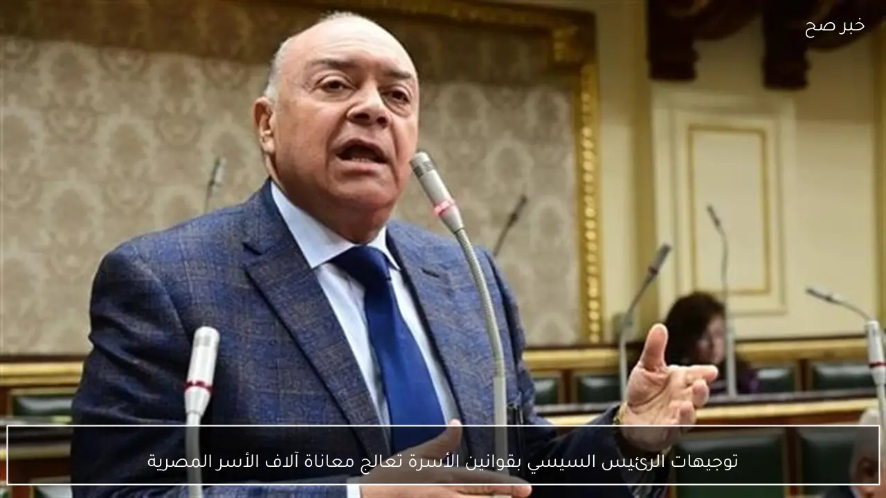 توجيهات الرئيس السيسي بقوانين الأسرة تعالج معاناة آلاف الأسر المصرية