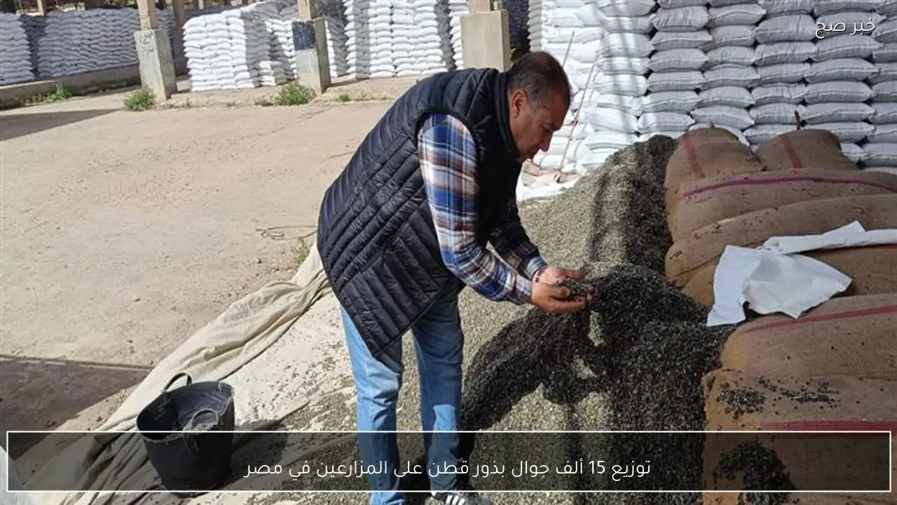 توزيع 15 ألف جوال بذور قطن على المزارعين في مصر