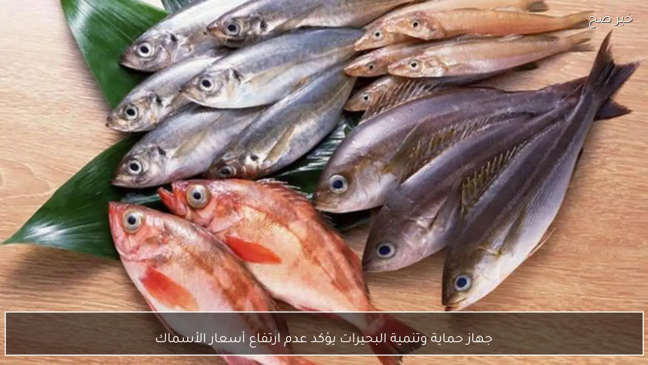 جهاز حماية وتنمية البحيرات يؤكد عدم ارتفاع أسعار الأسماك