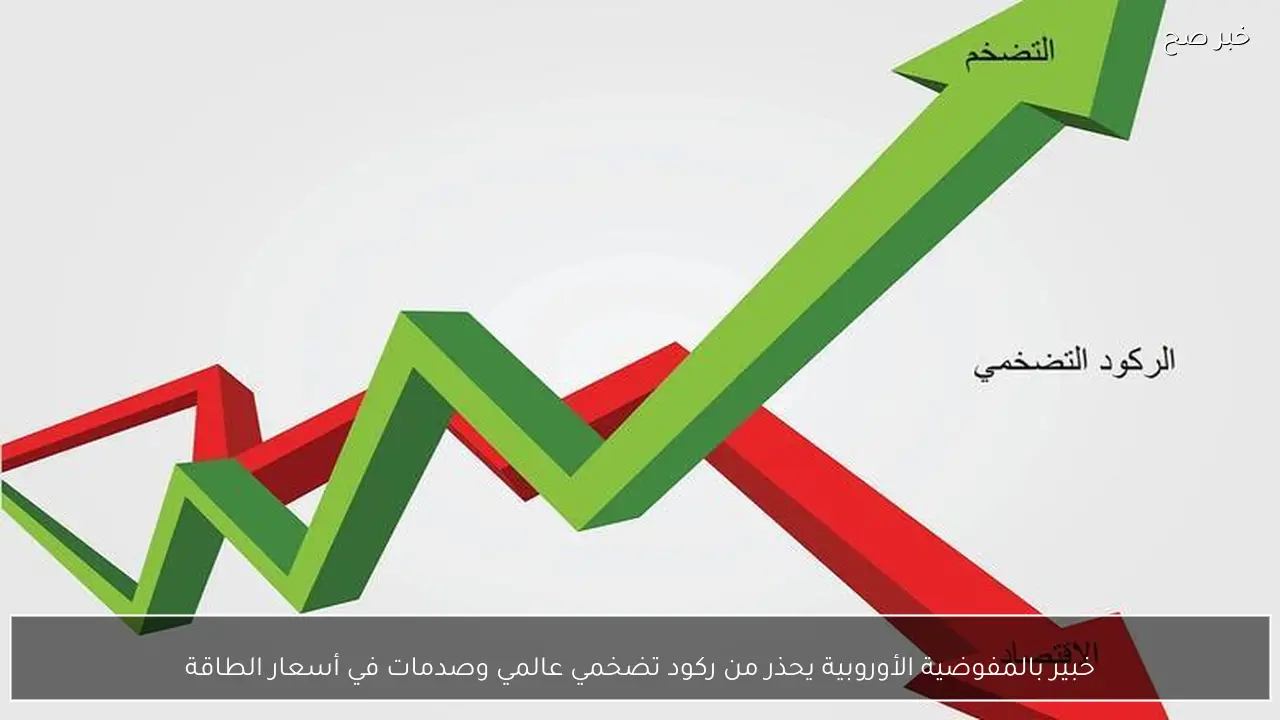 خبير بالمفوضية الأوروبية يحذر من ركود تضخمي عالمي وصدمات في أسعار الطاقة