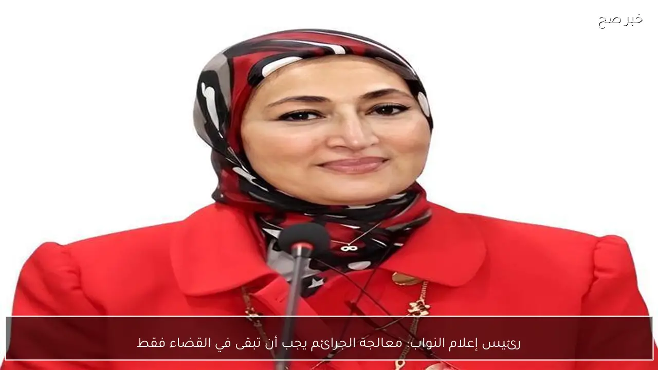 رئيس إعلام النواب: معالجة الجرائم يجب أن تبقى في القضاء فقط