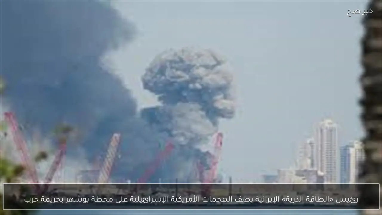 رئيس «الطاقة الذرية» الإيرانية يصف الهجمات الأمريكية الإسرائيلية على محطة بوشهر بجريمة حرب