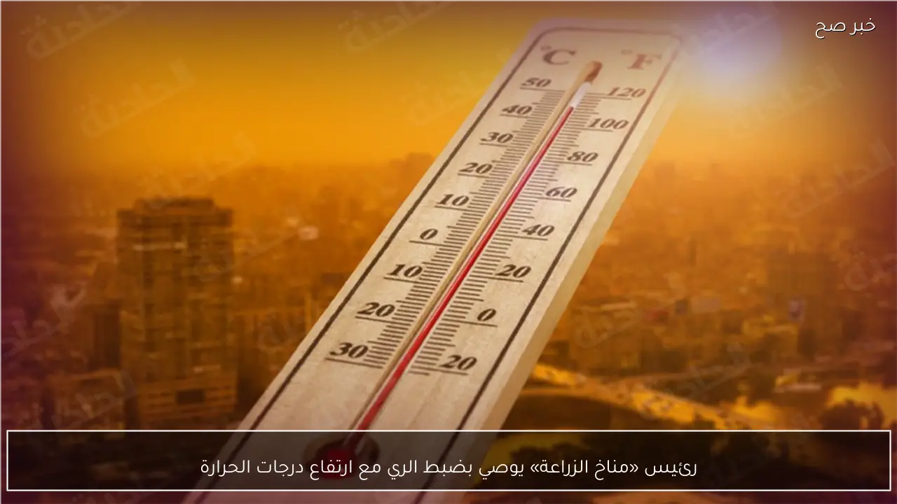 رئيس «مناخ الزراعة» يوصي بضبط الري مع ارتفاع درجات الحرارة