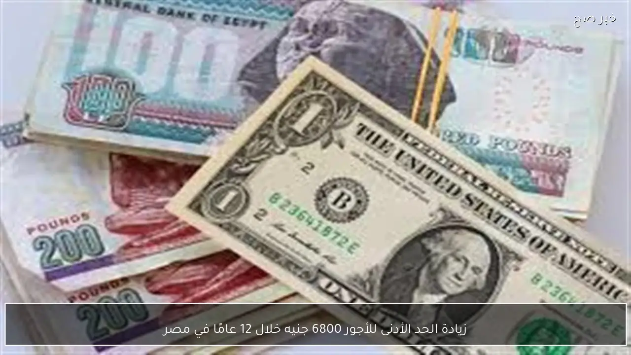 زيادة الحد الأدنى للأجور 6800 جنيه خلال 12 عامًا في مصر