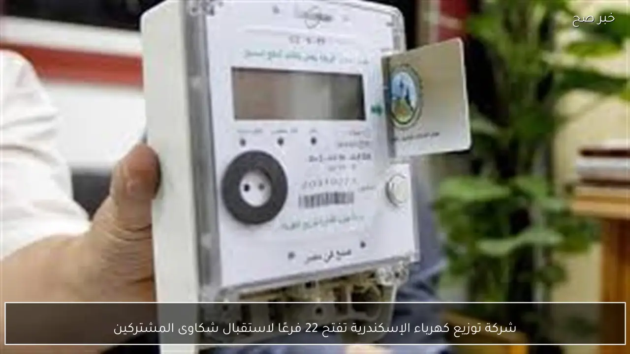 شركة توزيع كهرباء الإسكندرية تفتح 22 فرعًا لاستقبال شكاوى المشتركين