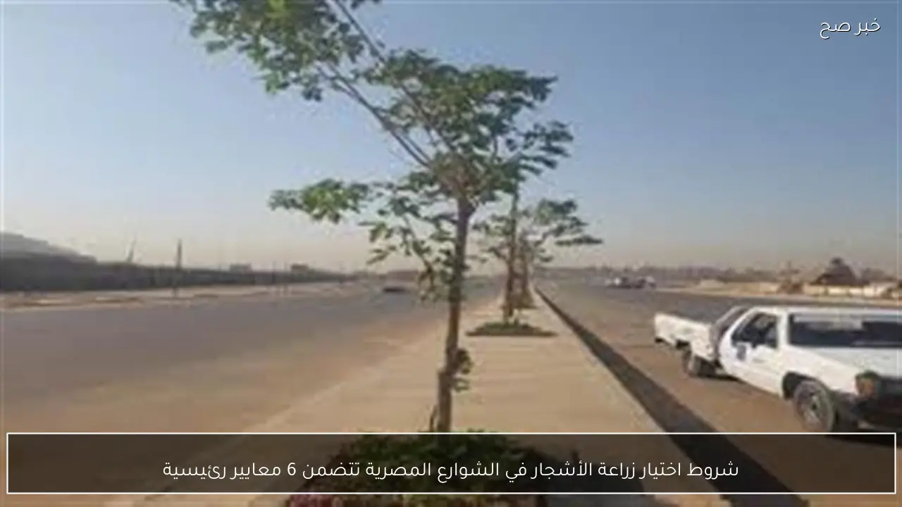 شروط اختيار زراعة الأشجار في الشوارع المصرية تتضمن 6 معايير رئيسية