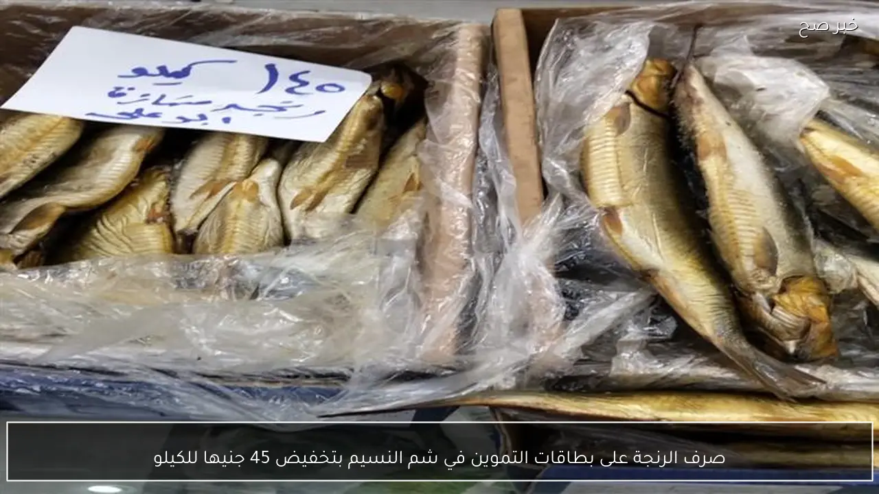 صرف الرنجة على بطاقات التموين في شم النسيم بتخفيض 45 جنيها للكيلو