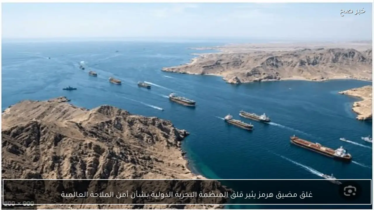 غلق مضيق هرمز يثير قلق المنظمة البحرية الدولية بشأن أمن الملاحة العالمية