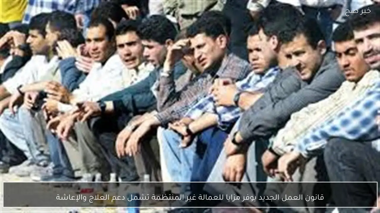 قانون العمل الجديد يوفر مزايا للعمالة غير المنتظمة تشمل دعم العلاج والإعاشة